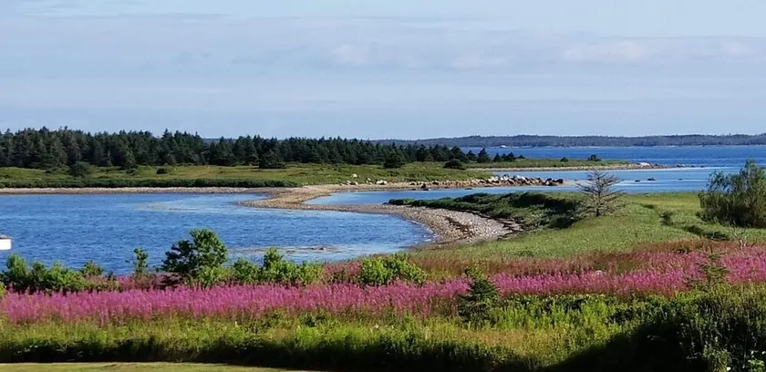Seaside Cottage in Beautiful Charlo’s Cove - Image 1