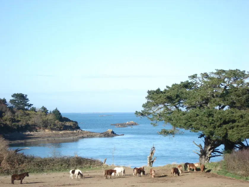lezardrieux appart. 4/5 persone mare + giardino - Image 1