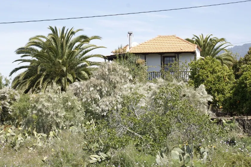 Casa Lucia II: soliga västra sidan av La Palma, havsutsikt, subtropiska trädgården. - Image 1