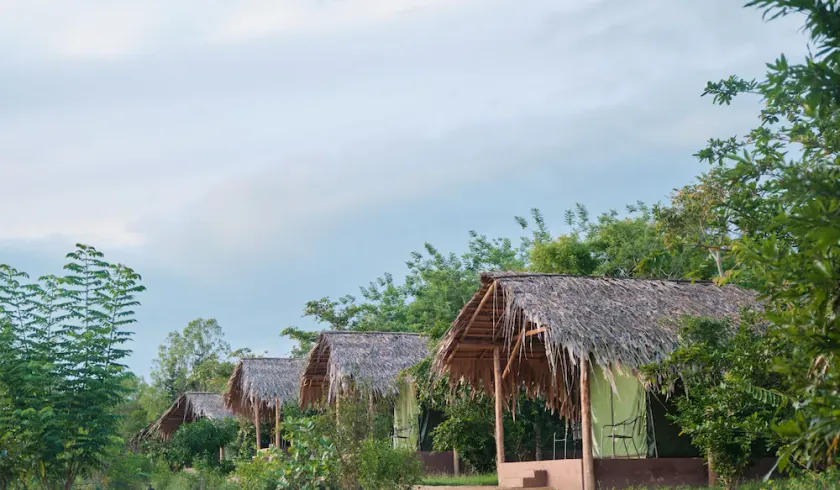 Forest Lodge Eco Camp  - Image 1