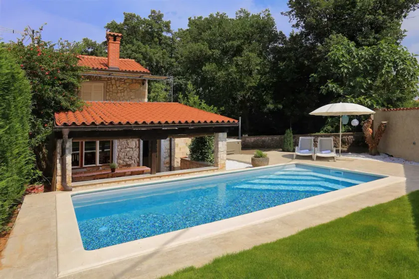 Holiday house NATURA with pool - Image 1