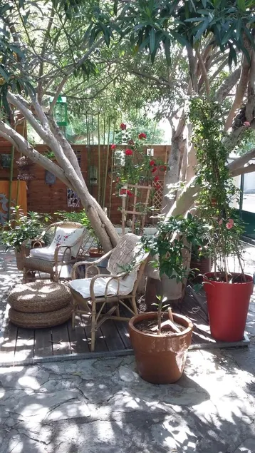 Cielito Lindo - Image 1