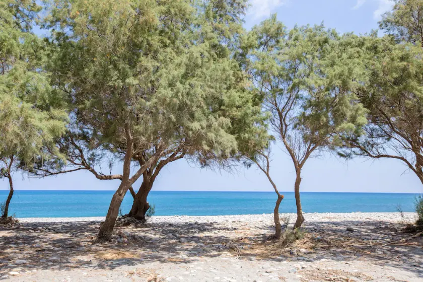 Aadonis Villa - Image 1