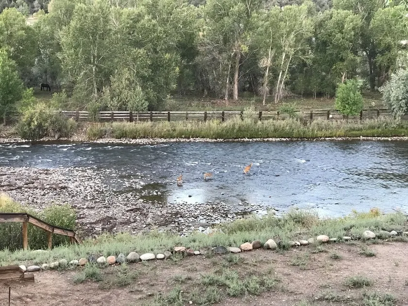 Spanish Ranch on the Arkansas River- enjoy the rushing river from the Hot tub! - Image 1