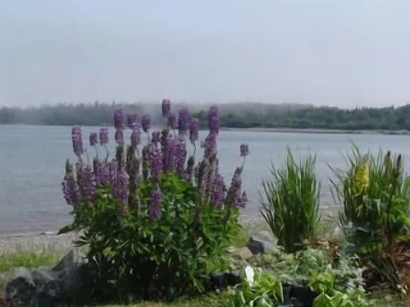 Beach House Little Dipper Harbour Oceanfront Retreat - new property mgmt in 2026 - Image 1