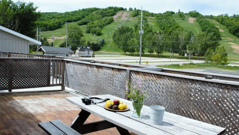 4 Bedroom Apartment near Blue Mountain Village, Private Beach Access, BBQ, Petfriendly - Image 1