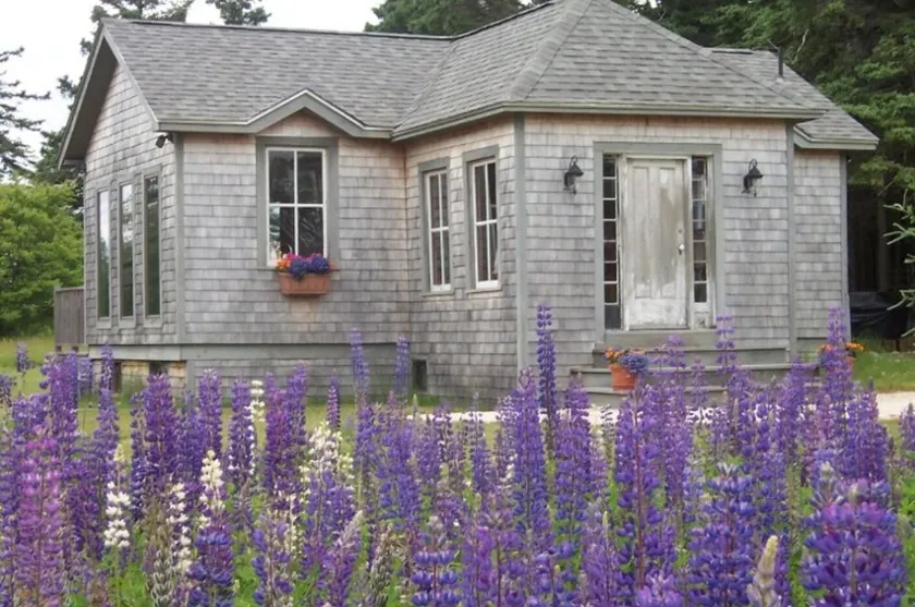 Sunlit Cottage on Crockett Cove  - Image 1