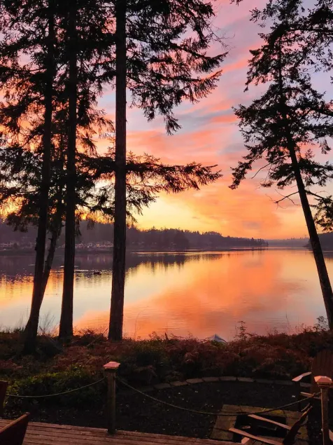 Tranquil Lowbank Waterfront Cottage.  - Image 1
