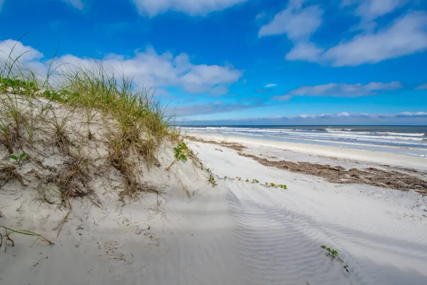 Sandy Shores - Image 1