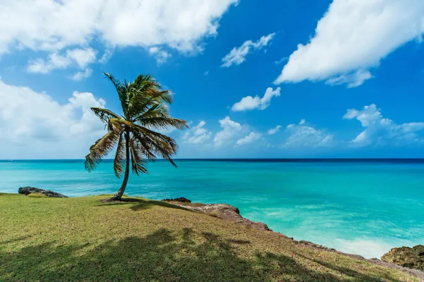 Breezy Haven in Barbados, 4 minutes from Crane Beach! - Image 1