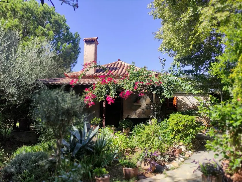 Holiday home only 300m from Stoupa beach, beautiful garden, Peloponnese - Image 1