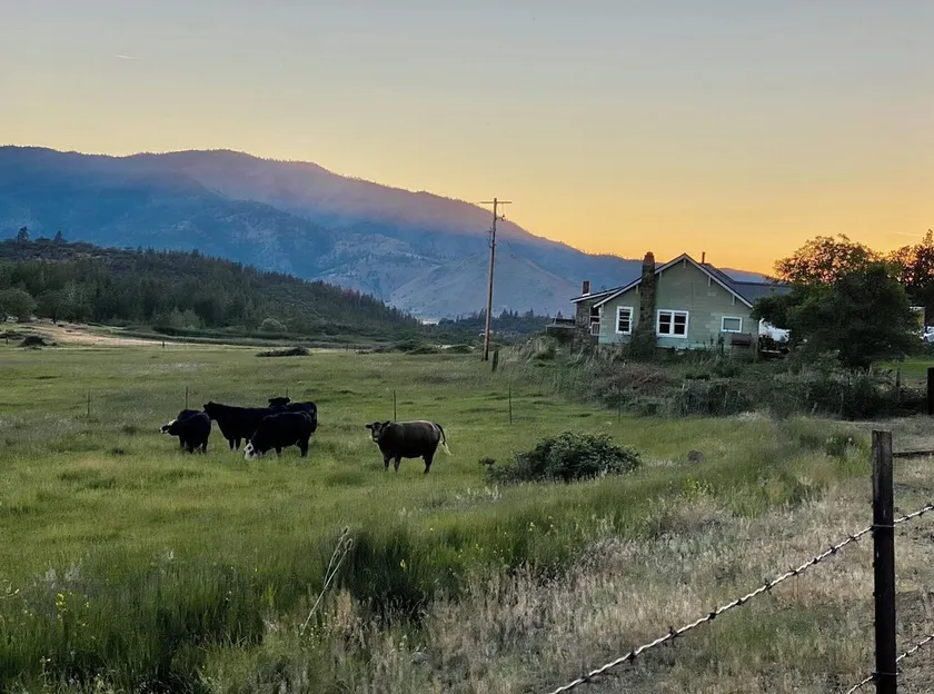 Ranch de 500 acres au pied du mont Shasta. - Image 1