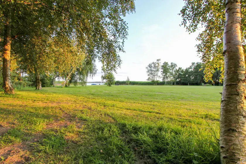 Schilfkante - Am Ufer - Image 1