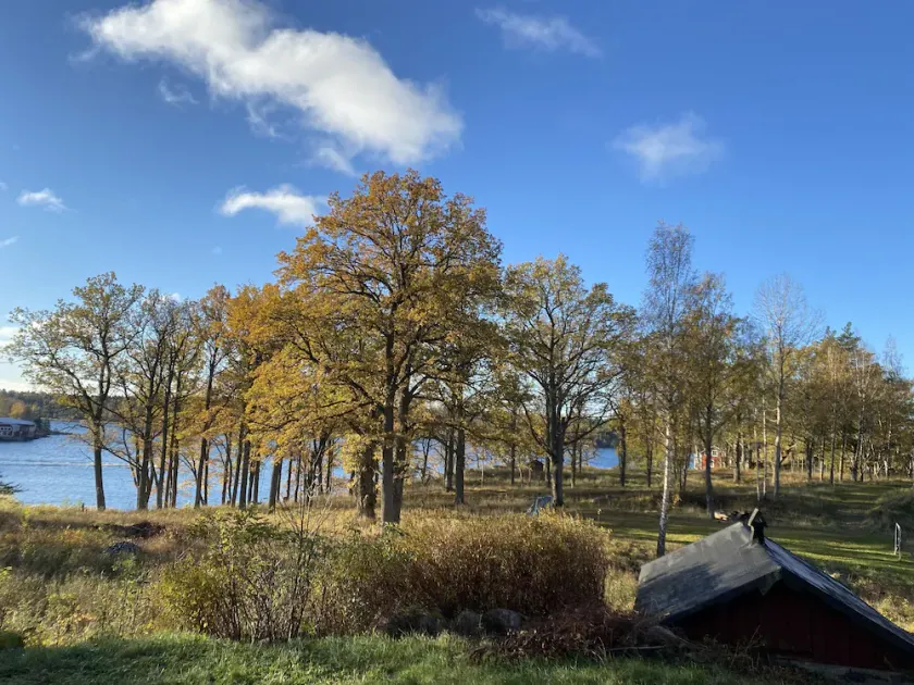 Archipelago cabin with ocean view - Image 1