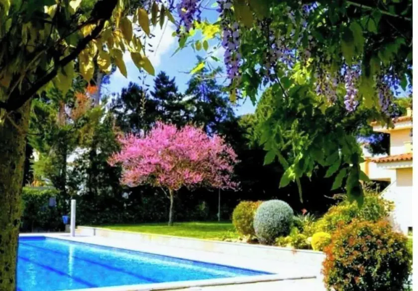 Stil Mar Anna 300 m from the sea Salted swimming pool, garden, private terrace in Léscala - Image 1
