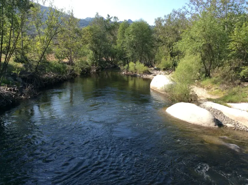 NEU ERÖFFNET!! Gehobene Hütte am Fluss mit 6 Schlafplätzen; erstaunliche Annehmlichkeiten zu blenden - Image 1