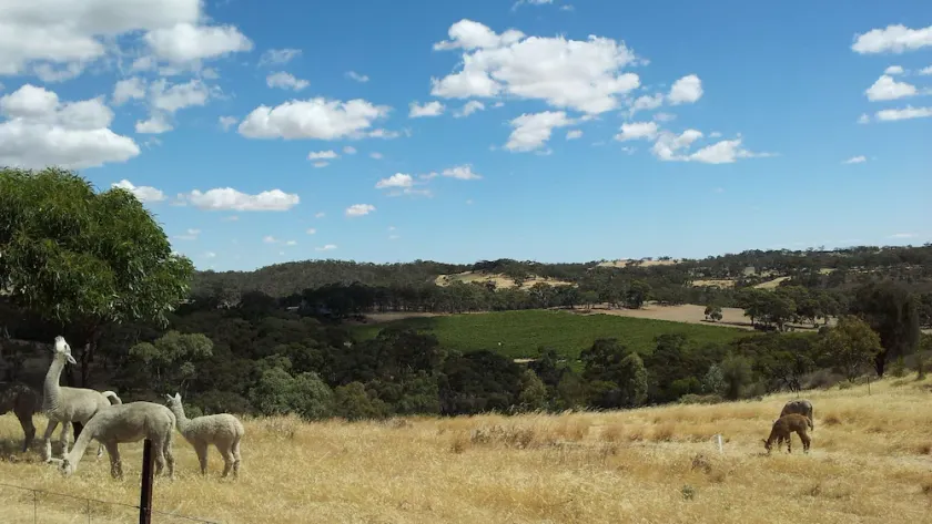 Clare View COTTAGE (pet friendly) Sleep 4 - Image 1