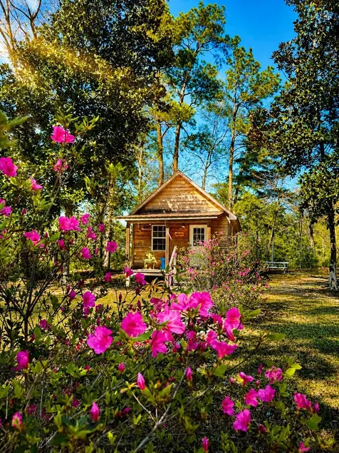 Creekside Cabin am Red Creek, nur wenige Schritte vom Wasser entfernt! - Image 1