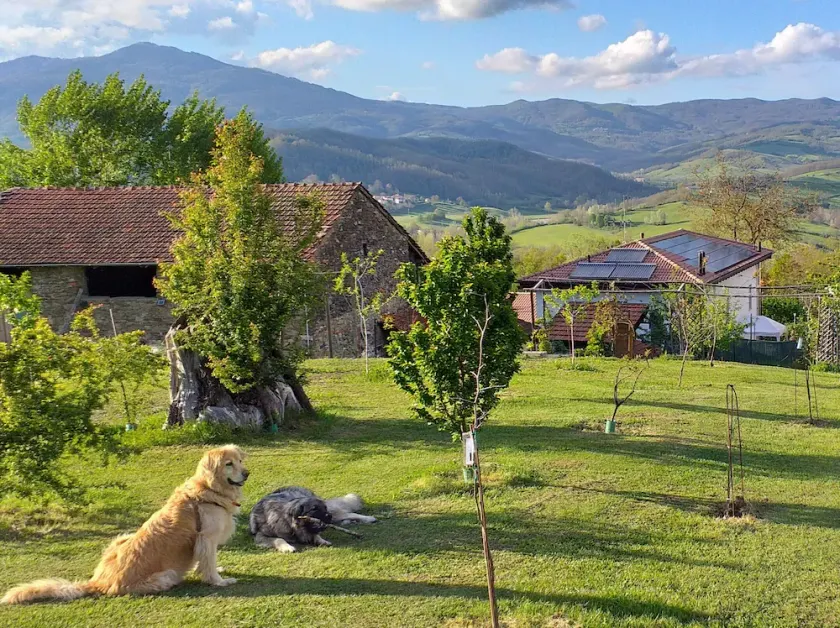 FARM WITH ENCLOSED GARDEN SURROUNDED BY THE WOODS FOR WALKING VIEWS - Image 1