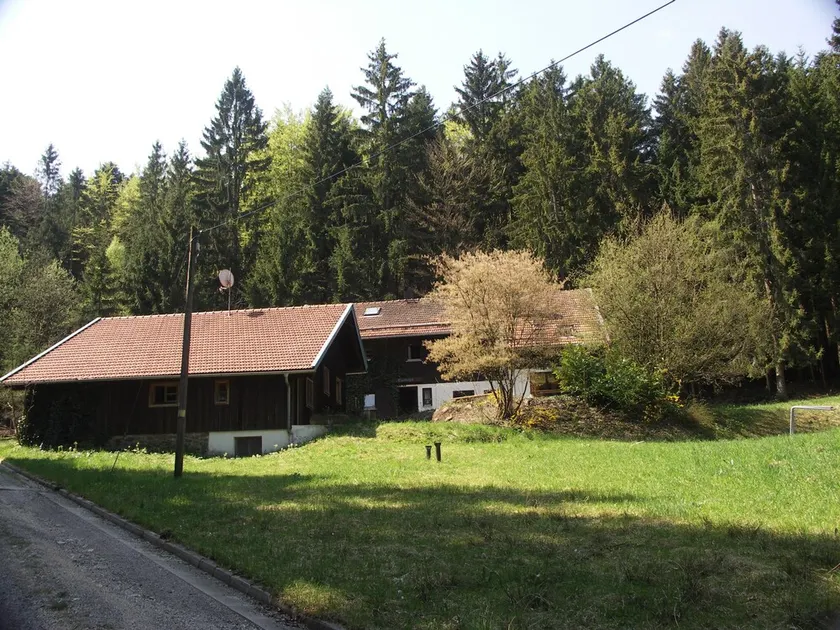 Time-out living in the middle of the Bavarian Forest in an absolutely secluded location - Image 1