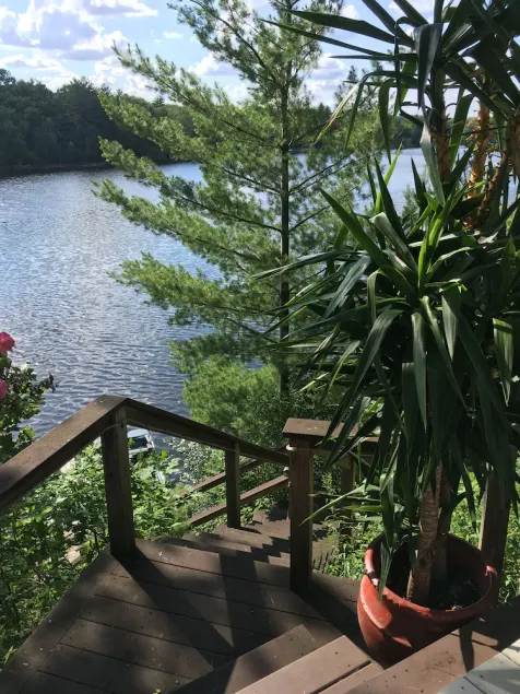 Riverside Cottage - Image 1