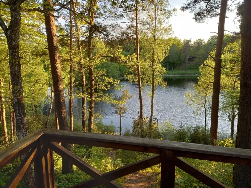 Agréable cabane conviviale et familiale avec terrasse, sauna et barbecue | Vue nature | Avec animaux admis - Image 1