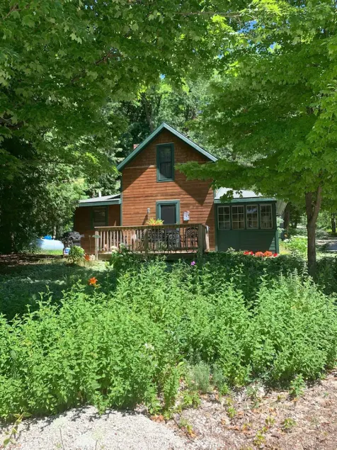 Familie Retreat Lake View Wifi Grill Cykler Fire Pits Natlig Solnedgange Hund Friendly - Image 1