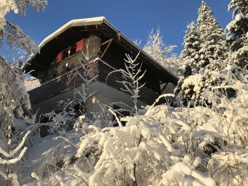 Gran chalet de montaña - Image 1