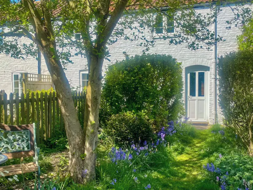 Jenny's Cottage 27553 - Image 1