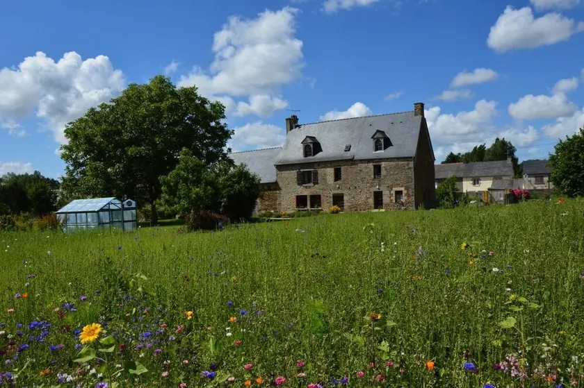 Roza-flor - Roz-landrieux - Image 1