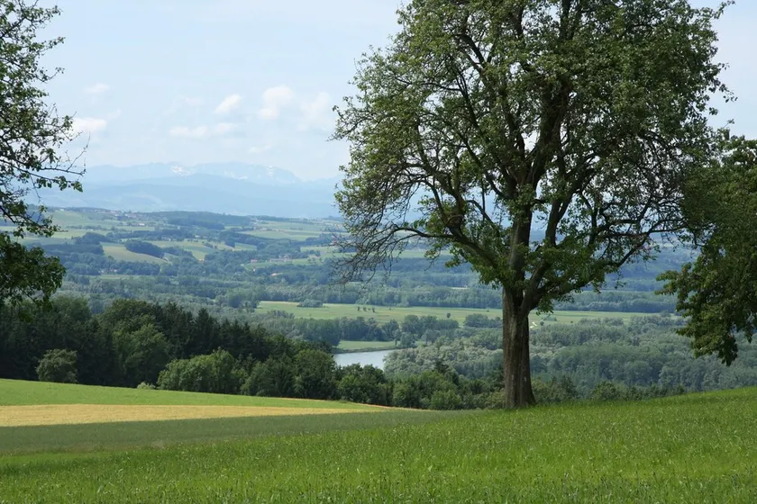 Being simple, out of everyday life and into an intact nature - Image 1