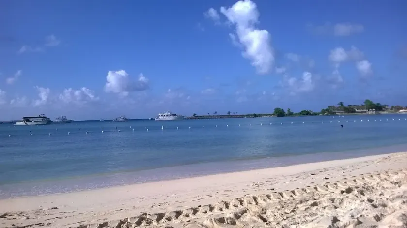 A View From Paradise - Image 1