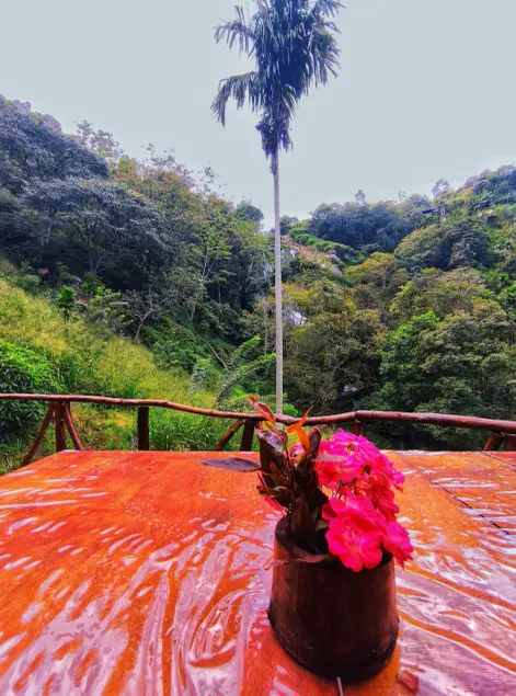 Ella waterfall view - Image 1