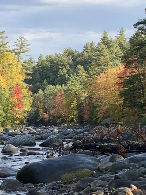 Autumn Splendor in the Adirondacks! Cozy Cabin on 5 Acres on Ausable River. - Image 1