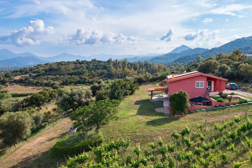 Maison de vacances \"La Collina Degli Ulivi\" avec vue sur la mer, terrasse privée et Wi-Fi - Image 1