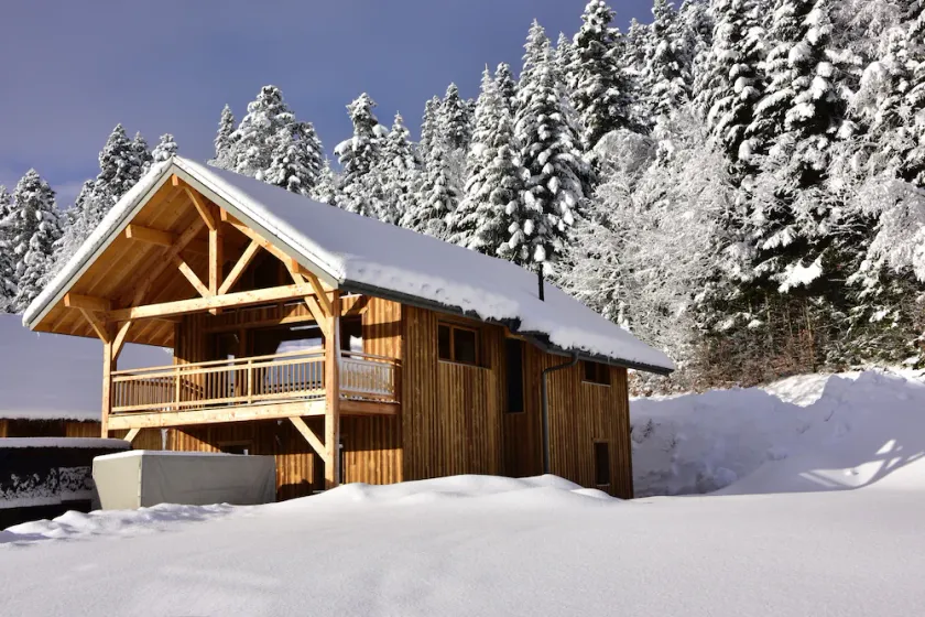 Charming chalet in a family resort - La Féclaz - Image 1