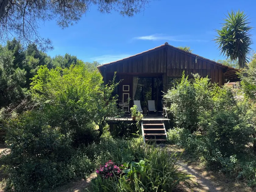 Pine Lodge - luxurious bungalow in nature - Image 1