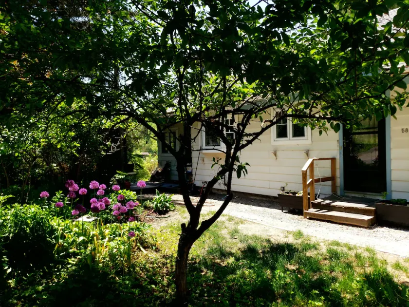 Montpelier 3 bedroom house located on Terrace St a 5 min walk to downtown. - Image 1