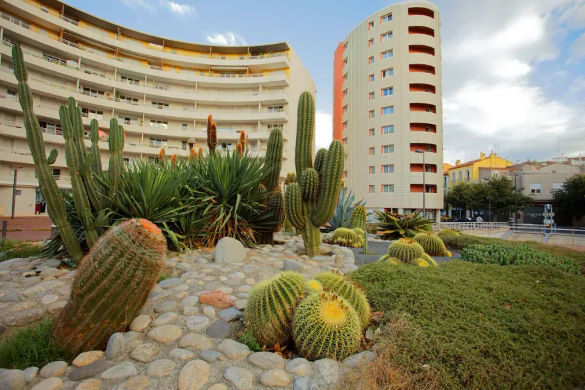 Studio Lumineux et Abordable avec Balcon + Parking - Image 1