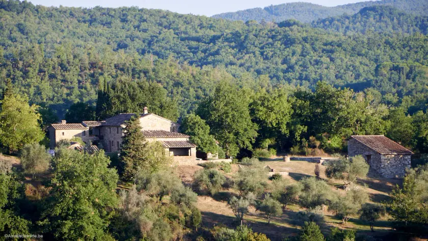 Family property in the heart of Tuscany & Chianti Hillside - Image 1