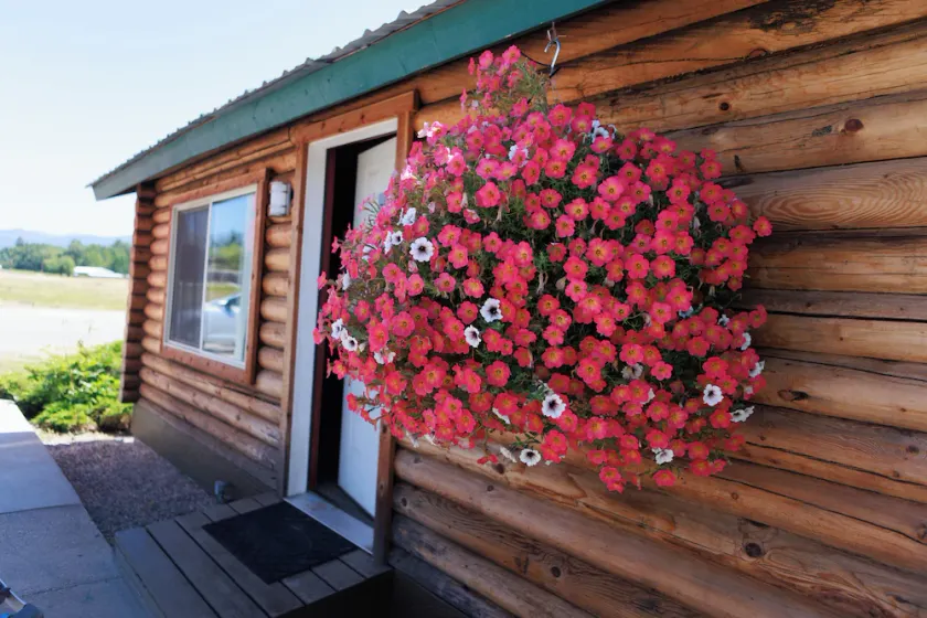 Big Medicine Cabins - Image 1