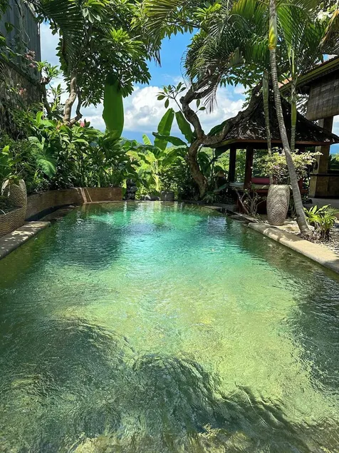 Experience village life in North Bali, Umeanyar - Image 1