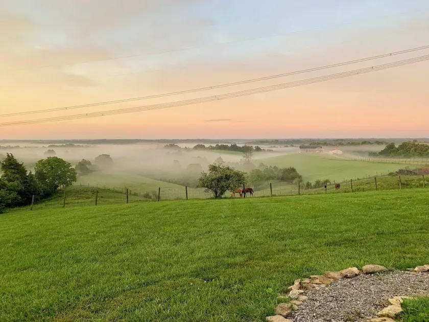 Cordova Retreat - 7 Minutes from the Ark! - Image 1