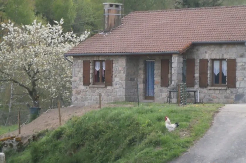 Very beautiful country granite house - Image 1