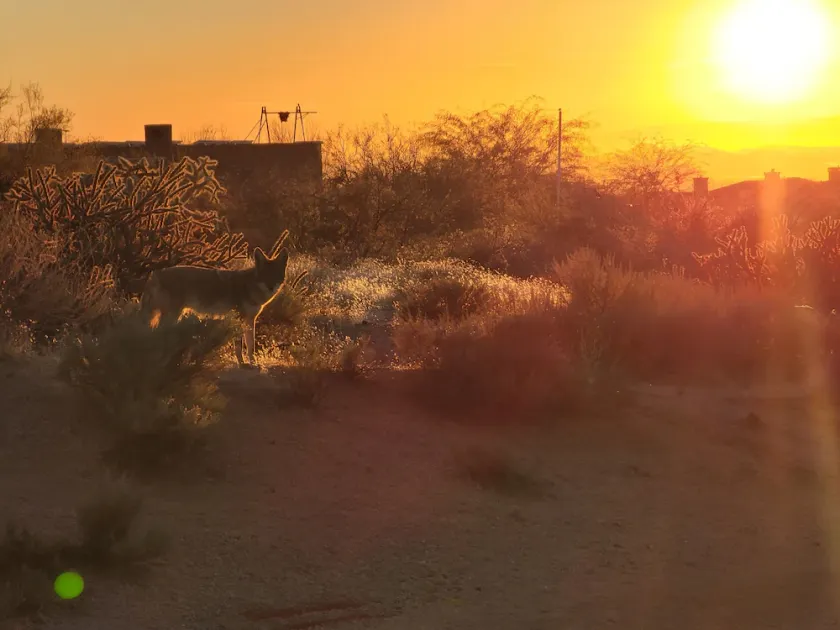 Sonoran Desert Retreat - Quiet, Gated, Custom home with Incredible SUNSETS ! - Image 1