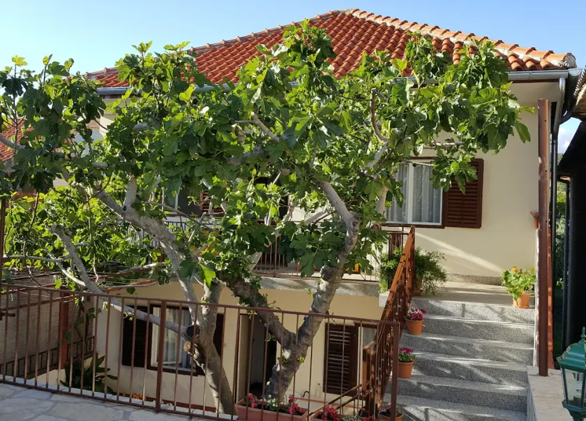 Apartments by the sea Posedarje, Novigrad - 12402 - Image 1