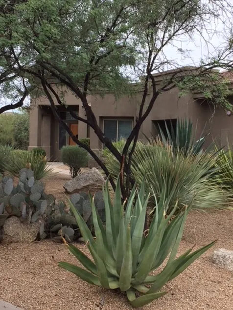 Beliggende i den smukke vagt gated community of Winfield i North Scottsdale - Image 1