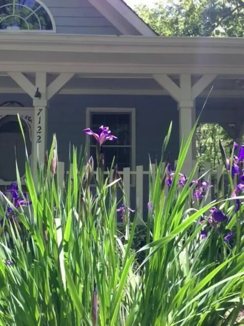 The Blue Cottage Rental - The Perfect Lookout Mountain Getaway - Image 1