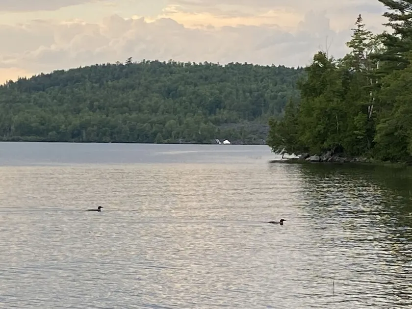 Lakefront cottage with privacy and charm! - Image 1