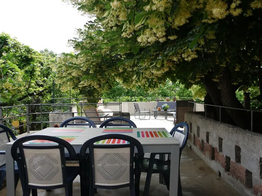 In the shade of the lime tree - Image 1